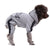 Stylish & Warm Dog Clothing Set